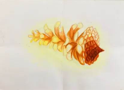 水彩画
